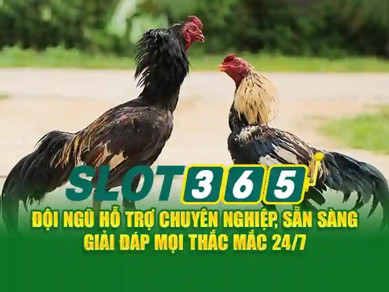 Slot365 là nền tảng casino trực tuyến phổ biến tại thị trường châu Á