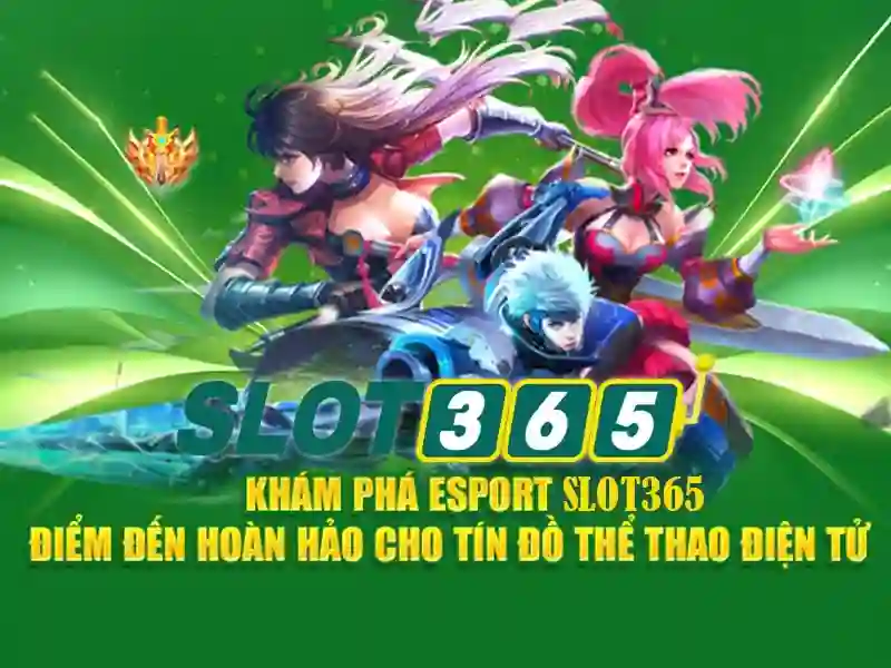 Trải nghiệm người dùng và giao diện