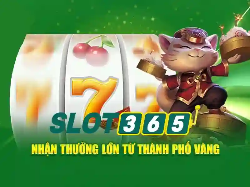 Chính sách bảo mật và thanh toán