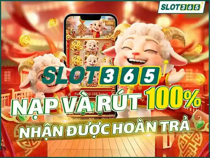 Heylink slot365 login – đánh giá uy tín Slot365 và pháp lý