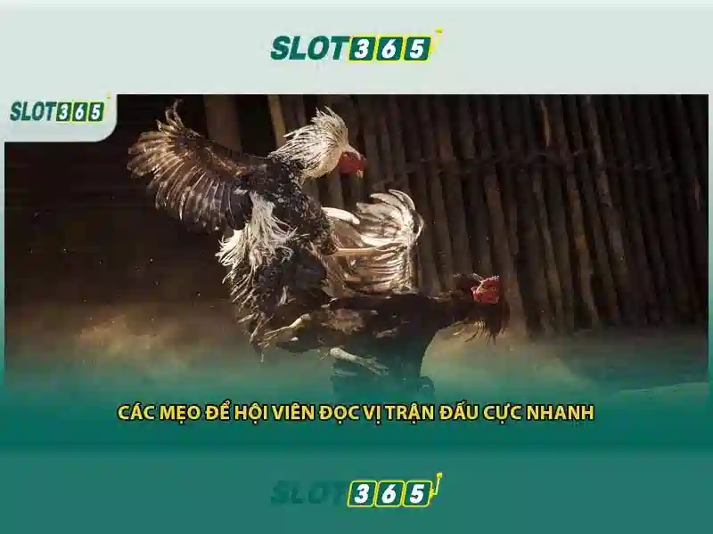 rtp slot365 – Tóm tắt chủ đề và Giá trị cốt lõi
