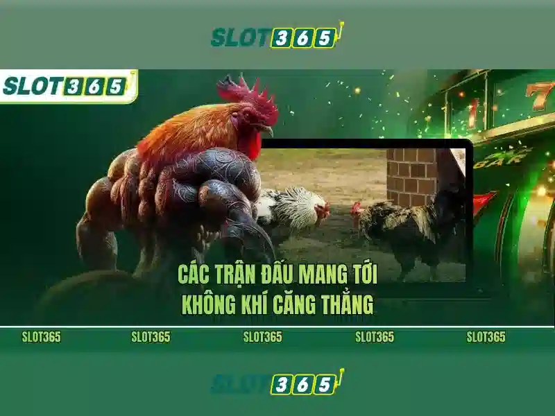 ưu đãi Slot365 – Khám phá game bài Slot365 chính thức