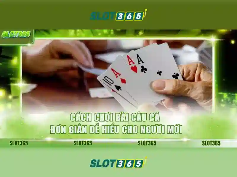 An toàn và trách nhiệm khi chơi