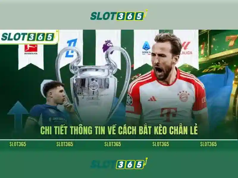 Trải nghiệm người dùng Slot365 rút tiền và cộng đồng