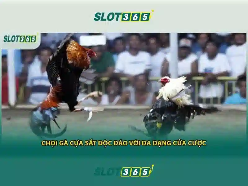 Tại sao nên chọn Slot365