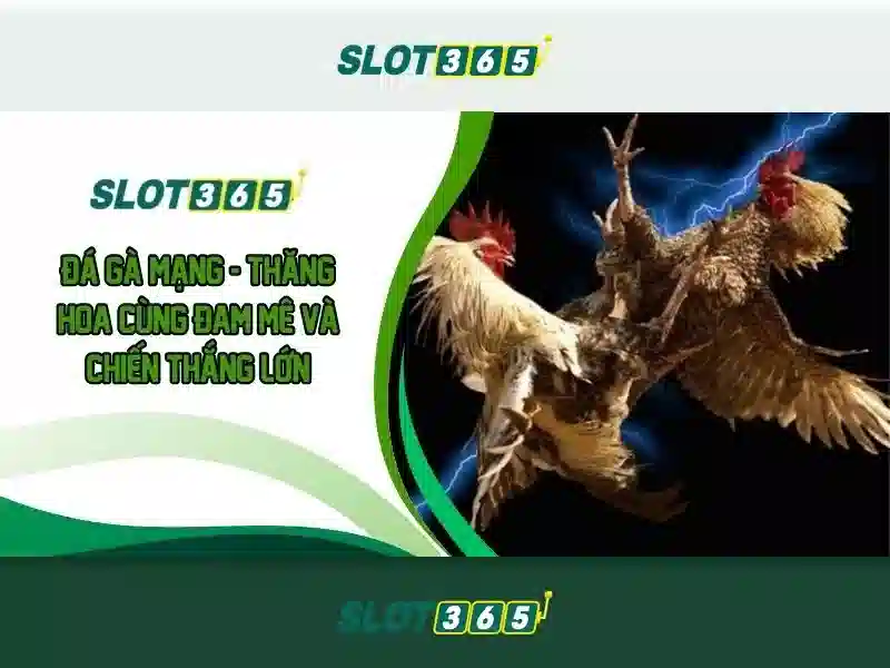 Slot365: Trải nghiệm chơi slot trực tuyến an toàn và hấp dẫn