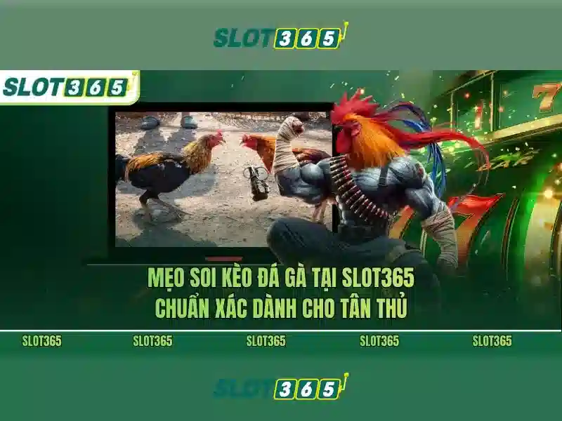 Slot365 bị chặn – Tổng quan và code Slot365 mới nhất