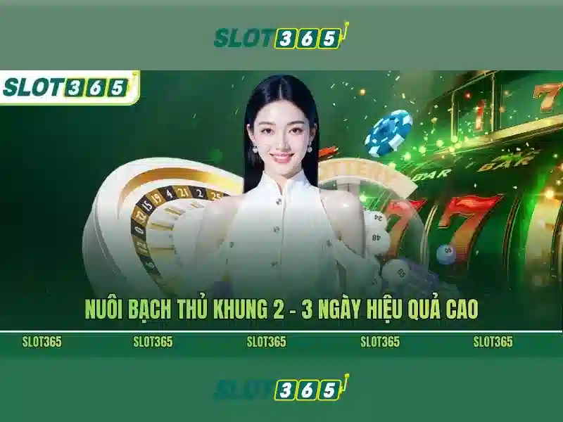 Các sản phẩm và dịch vụ của Slot365 nổ hũ – Ứng dụng thực tiễn