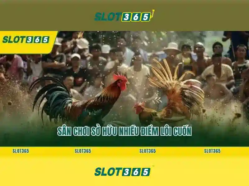 Slot365 – nền tảng chơi slot trực tuyến