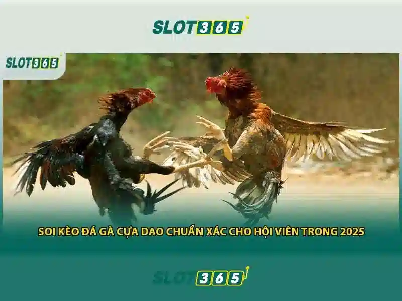 Slot365 - Nền tảng máy đánh bạc trực tuyến hàng đầu