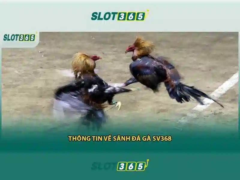 Slot365 nổ hũ – Trải nghiệm đỉnh cao cùng asia slot365