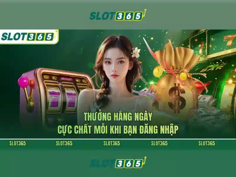 Khu vực trò chơi và cung cấp