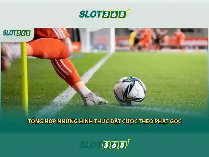 Tổng kết Slot365 bị chặn