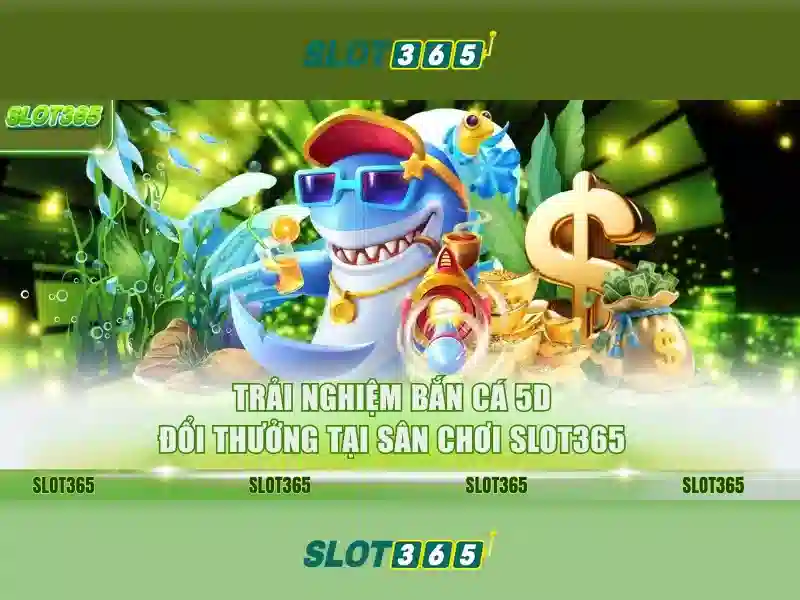 Trải nghiệm người dùng và giao diện