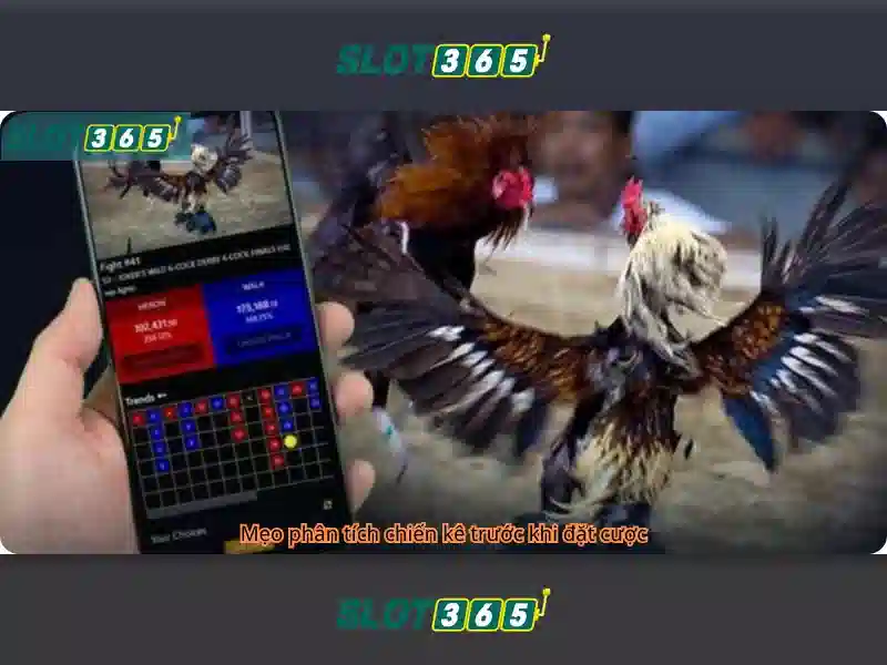 Slot365: Hướng dẫn và trải nghiệm casino trực tuyến an toàn