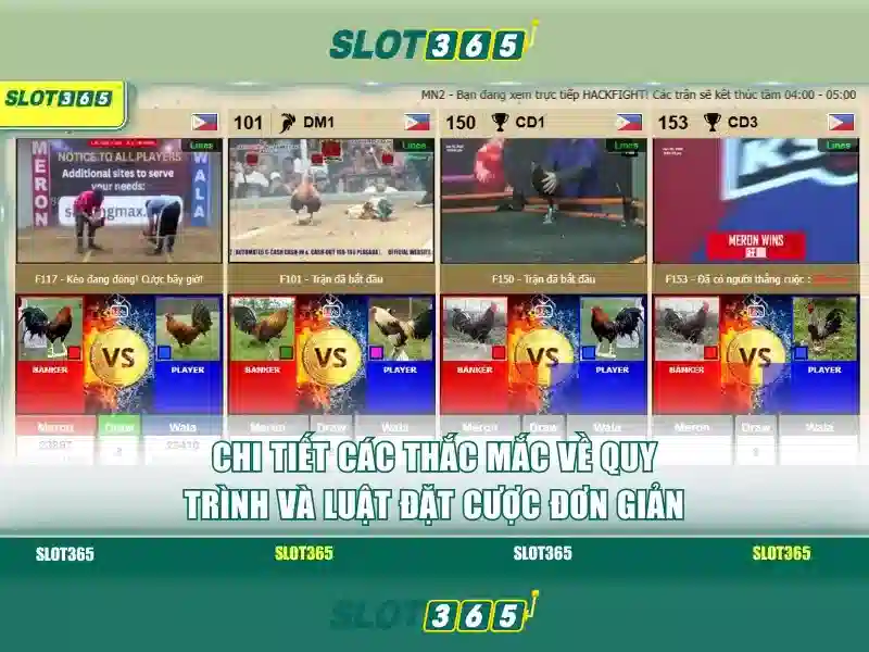 An toàn và đáng tin cậy
