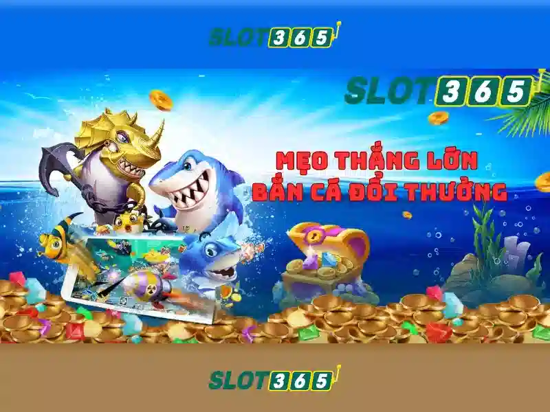 Các tính năng nổi bật
