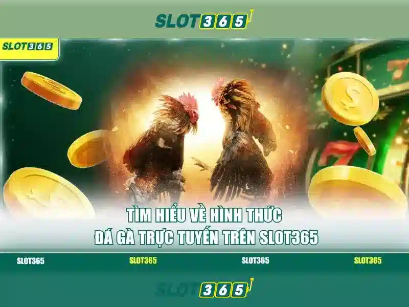 Slot365: Nền tảng đánh bạc trực tuyến đầy hứng thú