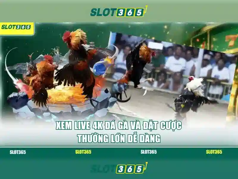 Slot365 là gì?