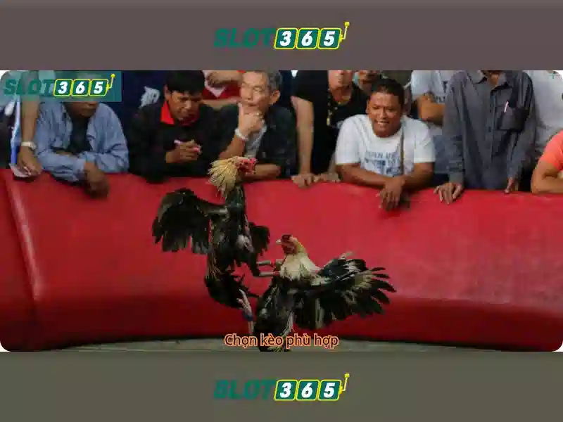 Giới thiệu về Slot365
