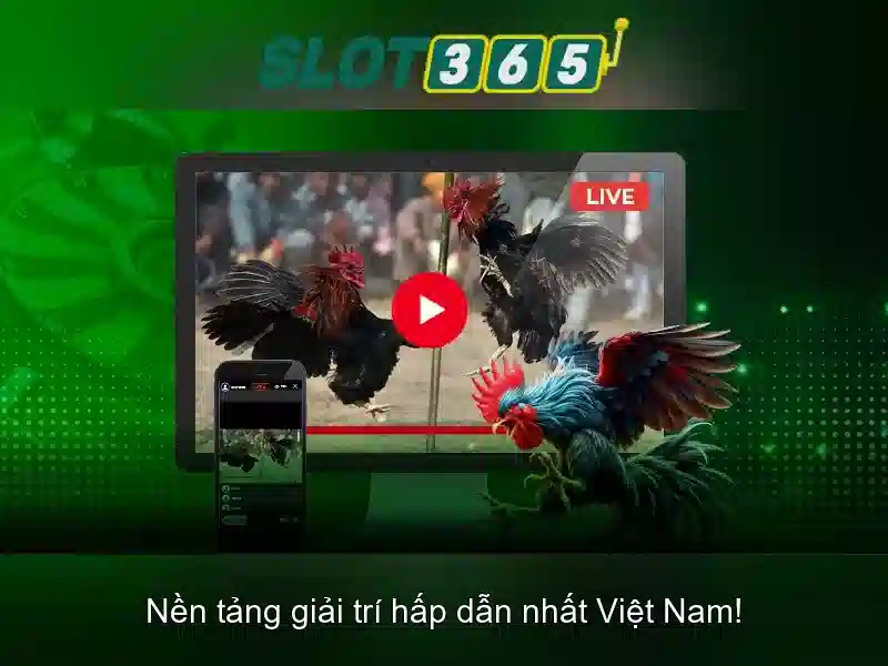 Chiến thuật Baccarat