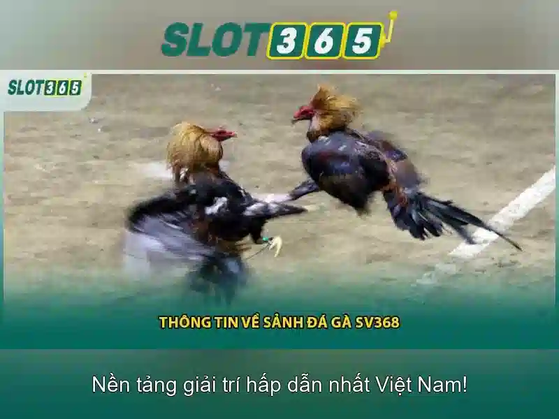 Slot365 - Nền tảng slot trực tuyến an toàn và tiện lợi