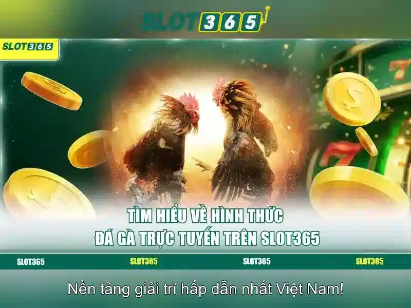 Trải nghiệm người dùng và phản hồi của cộng đồng Slot365