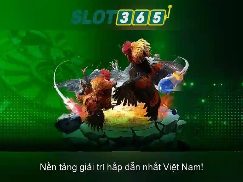 Chiến thuật Baccarat