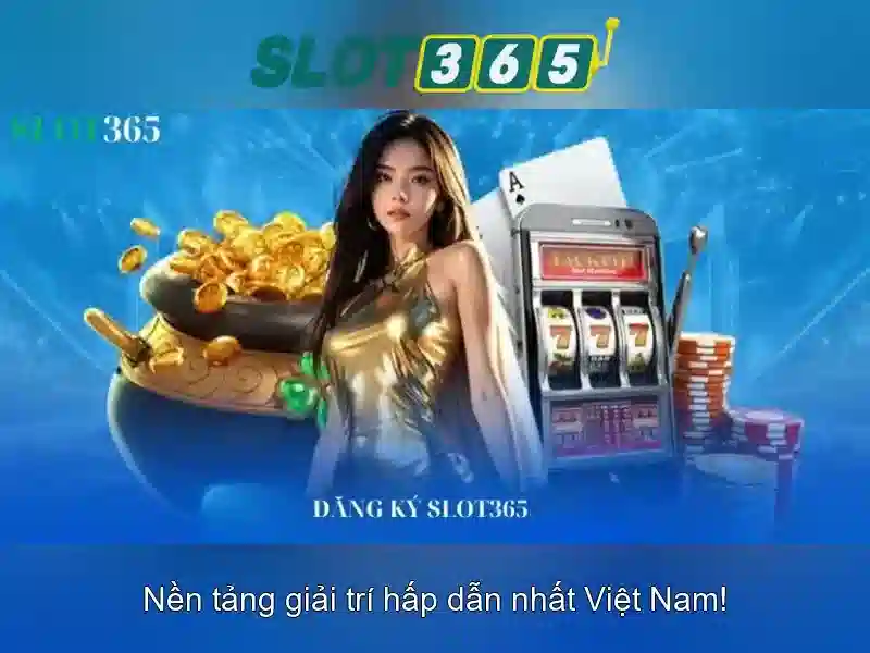 Khuyến mãi và chương trình tích lũy điểm