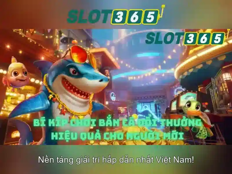 Đánh giá người dùng và kết luận