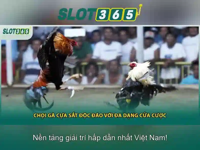 Slot365 - trải nghiệm chơi slot trực tuyến tuyệt vời