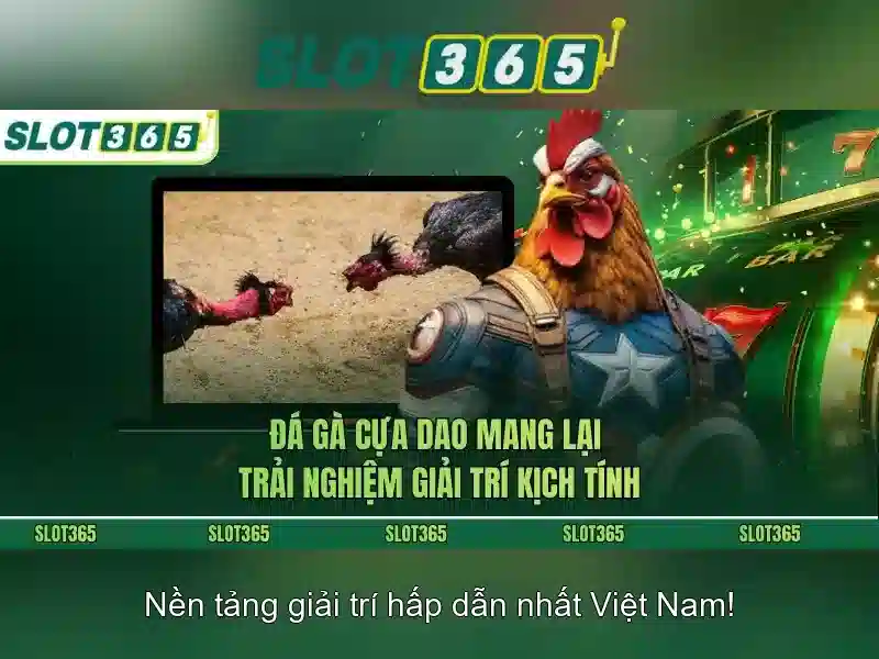 Khuyến mãi và trải nghiệm người dùng