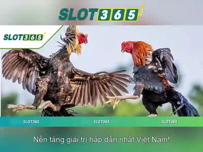 Các game slot phổ biến và tính năng đặc sắc