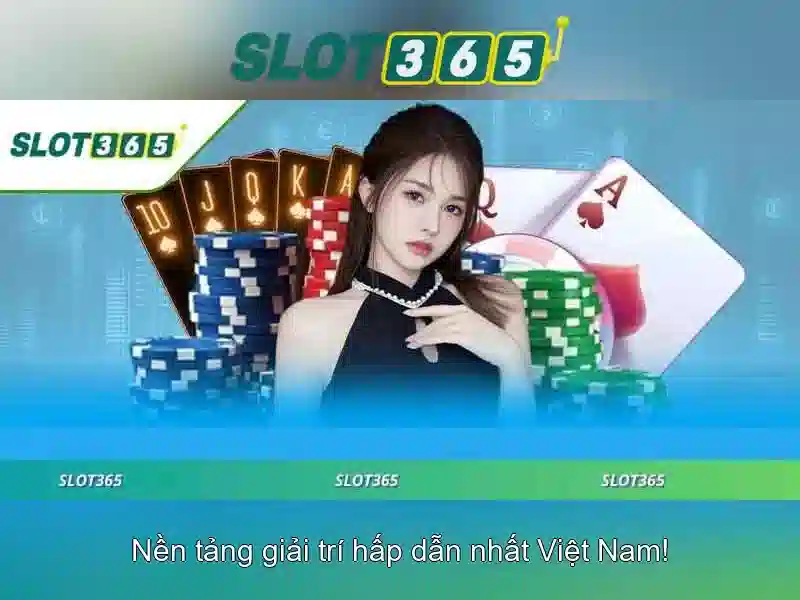 Hướng dẫn dành cho người mới