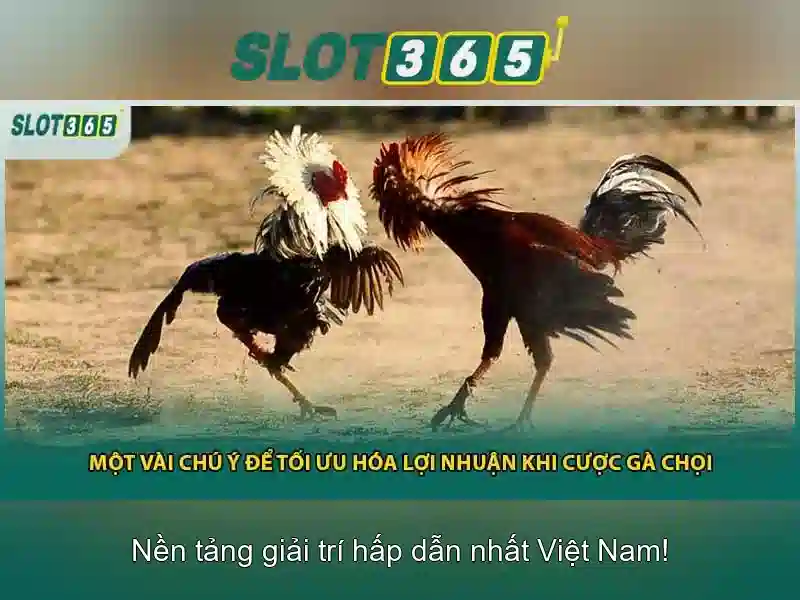 Slot365 - Đối tác tin cậy cho người chơi slot trực tuyến