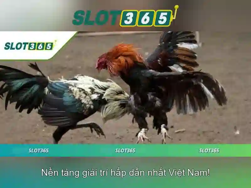 Trai nghiem nguoi dung va giao dien