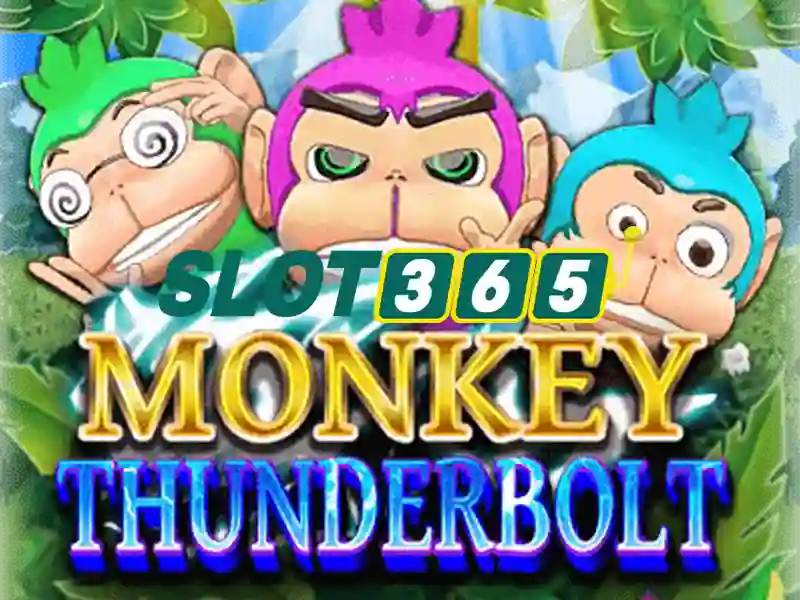 Slot365 – Đánh giá nền tảng casino trực tuyến