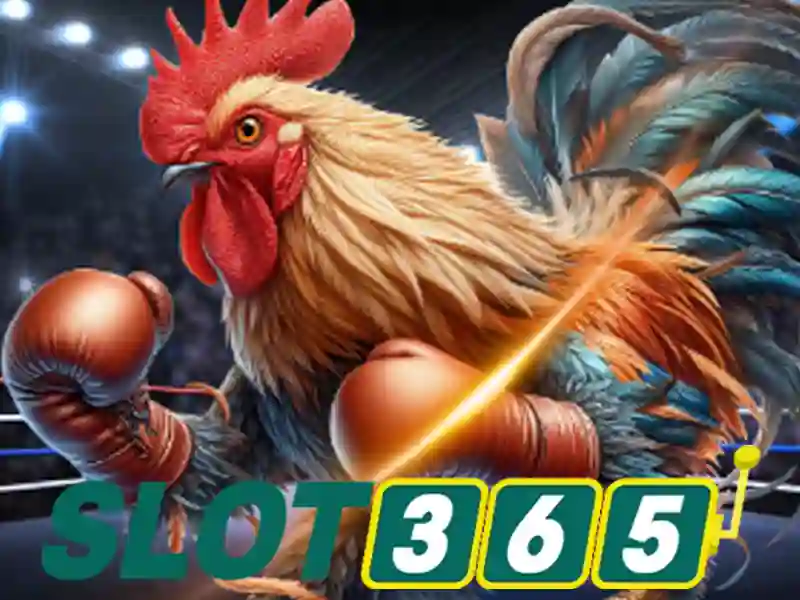 Trải nghiệm người dùng tuyệt vời trên Slot365