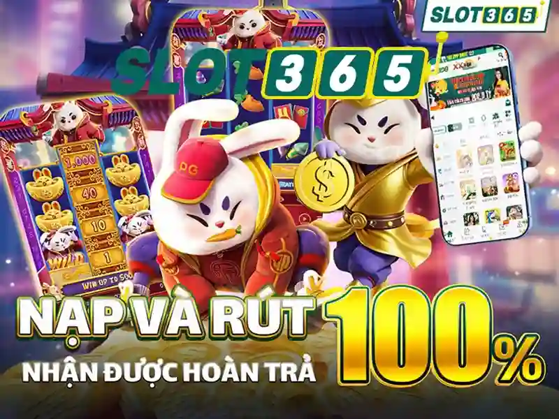 Slot365 - Tổng quan về khe trực tuyến