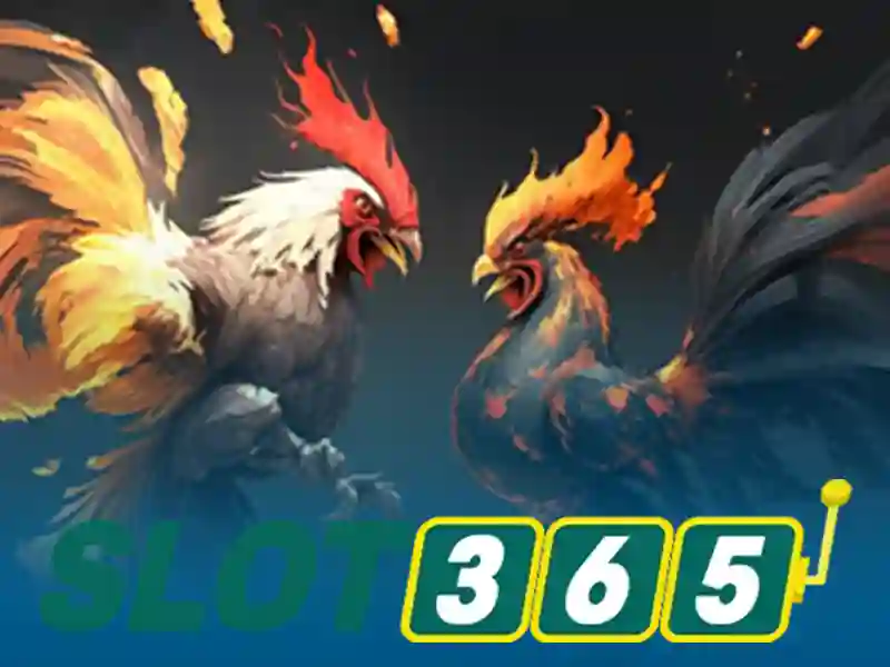 slot365 alternatif – Tổng quan chủ đề và giá trị cốt lõi