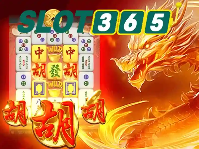 Hỗ trợ khách hàng và dịch vụ người dùng