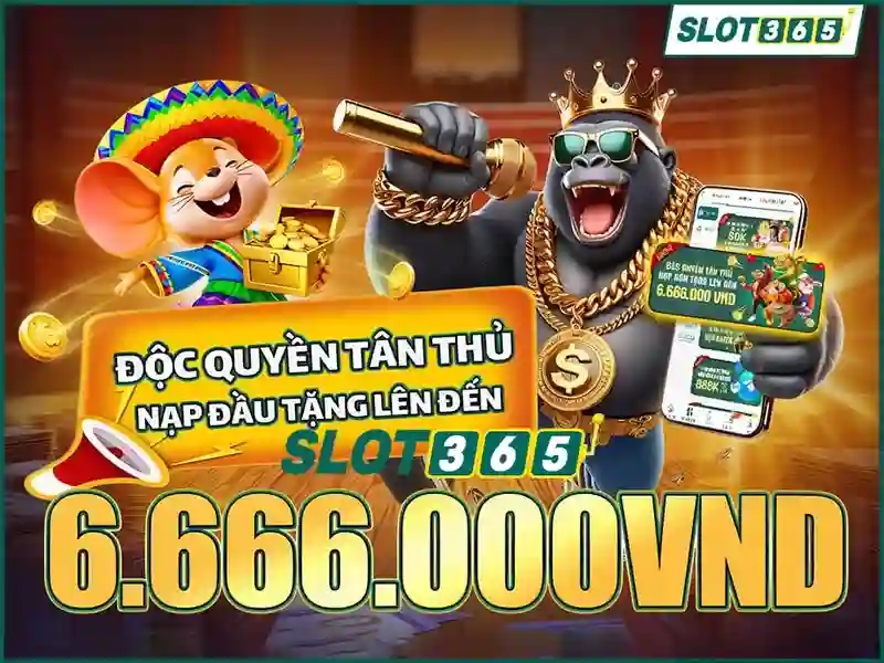 Trải nghiệm người dùng và giao diện