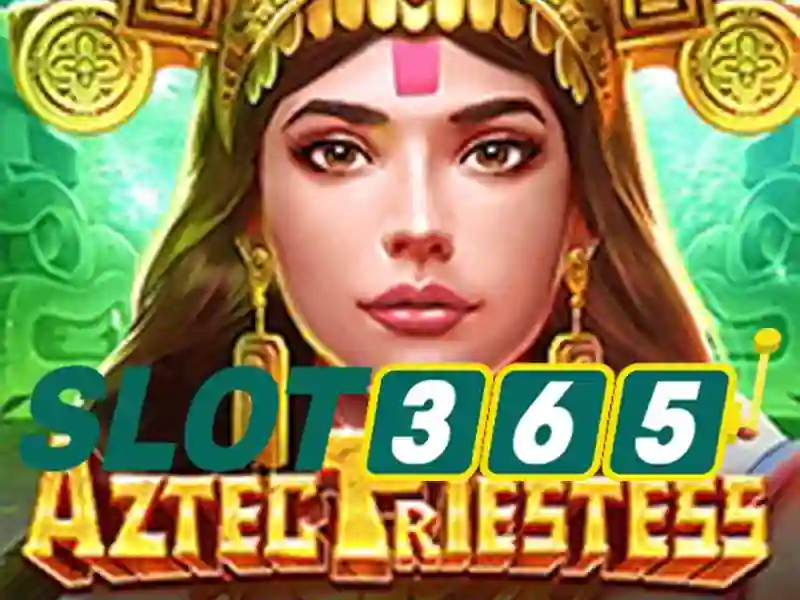 Slot365 rút tiền – tổng quan chủ đề và giá trị cốt lõi