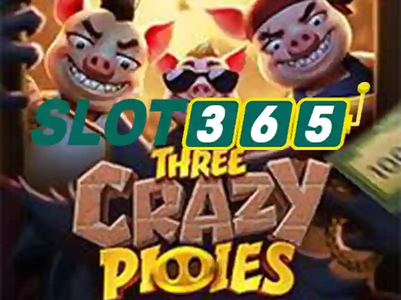 Slot365: Nền tảng kasino trực tuyến và trò chơi slot hàng đầu